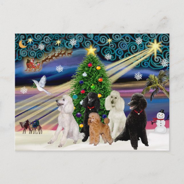 Christmas Magic Poodles - Standard (5) Holiday Postcard (Front)