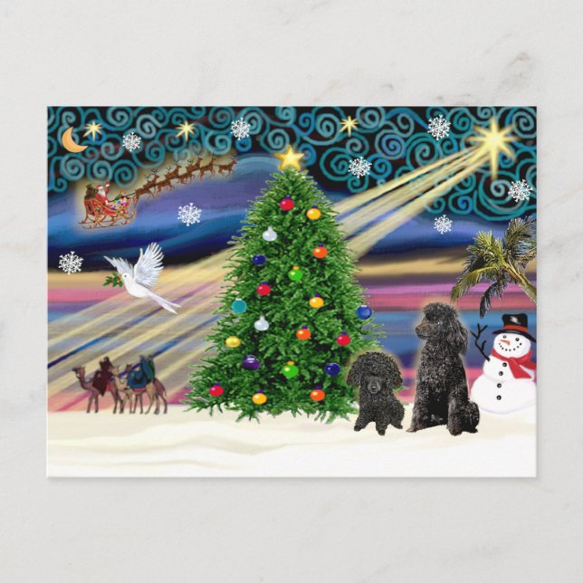 Christmas Magic Poodles (two black Toy) Holiday Postcard (Front)