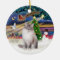 Christmas Magic - Ragdoll Cat (Lynx Colorpiont)