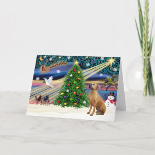 Christmas Magic Rhodesian Ridgeback 1 Holiday Card