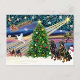 Christmas Magic Rottweilers (two) Holiday Postcard