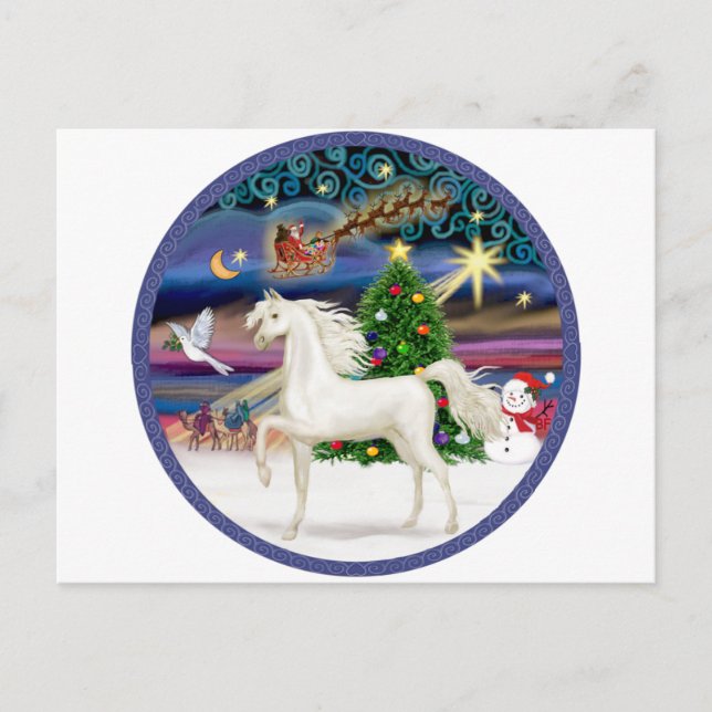 Christmas Magic - White Arabian Horse Holiday Postcard (Front)