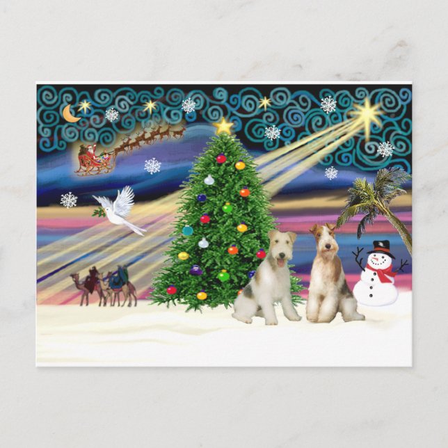 Christmas Magic - Wire Fox Terriers (two) Holiday Postcard (Front)