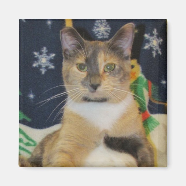Christmas Magnet - Cat / Kitten (Front)