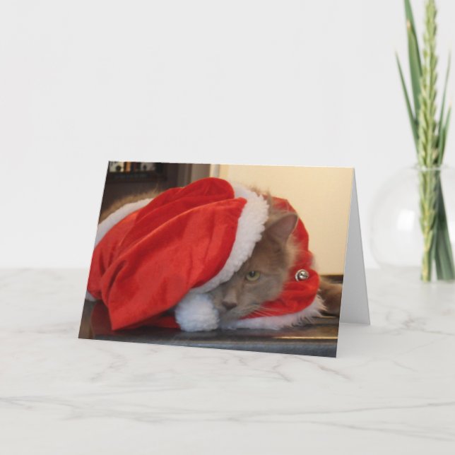 Christmas Maine Coon Holiday Card (Front)