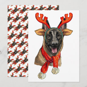 Christmas Malinois dog  Save The Date