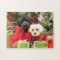 Christmas - Maltese - Annie and YorkiePoo - Hannah