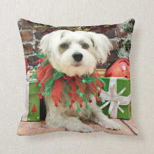 Christmas - Maltese - Oscar Throw Pillow