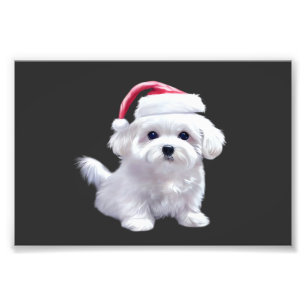 Christmas Maltese - Perfect For Animal Lovers Clas Photo Print