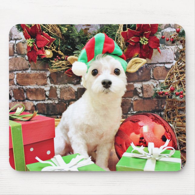 Christmas - Maltese - Quinn Mouse Pad (Front)