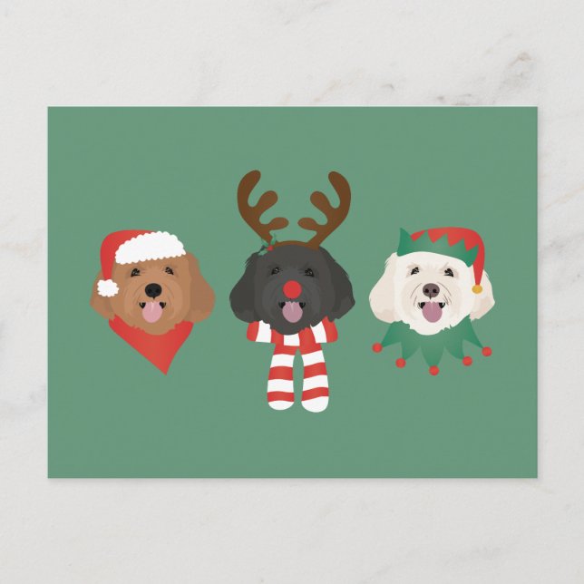 Christmas Maltipoo Dogs Postcard (Front)