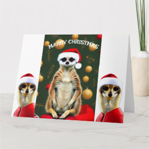 Christmas Meerkats Santa Card