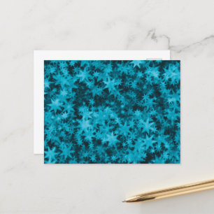 Christmas Midnight Echo Postcard