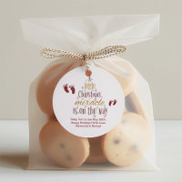  Christmas Miracle Pregnancy Announcement