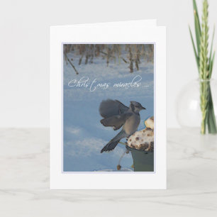 CHRISTMAS MIRACLES HOLIDAY CARD