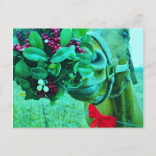 Christmas Mistletoe Teal Horse Holiday Postcard