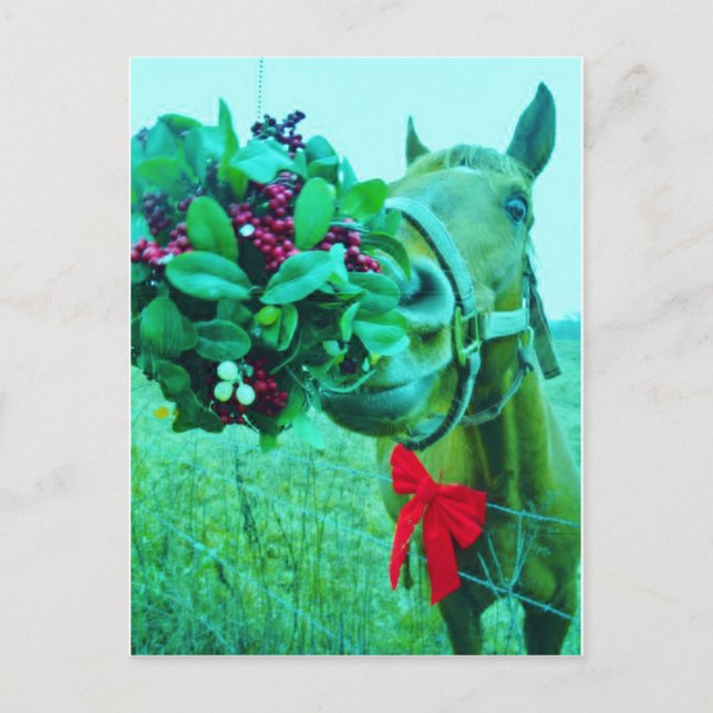 Christmas Mistletoe Teal Horse Holiday Postcard (Front)