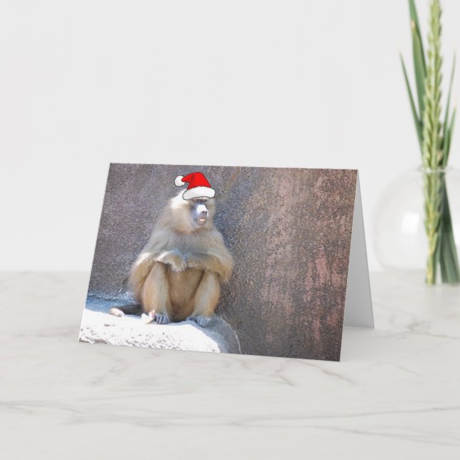Christmas Monkeys and Baboons Holiday Card (Front)