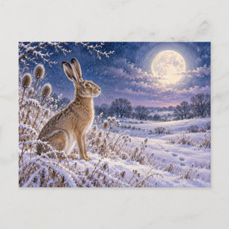 Christmas Moonlit Winter Hare Snowy Meadow Postcard