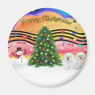 Christmas Music 2 - Bichon Frise (two) Magnet