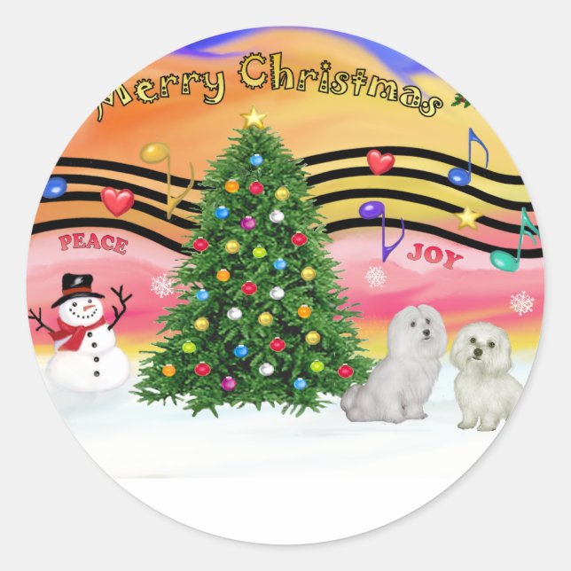 Christmas Music 2 - Maltese (two) Classic Round Sticker (Front)