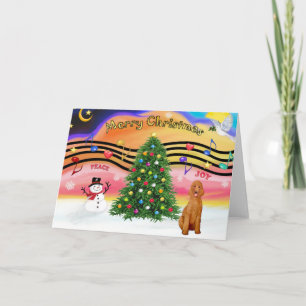 Christmas Music 2 - Poodle (apricot Standard) Holiday Card