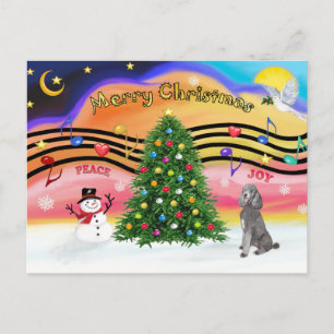 Christmas Music 2 - Poodle (Silver Standard) Holiday Postcard