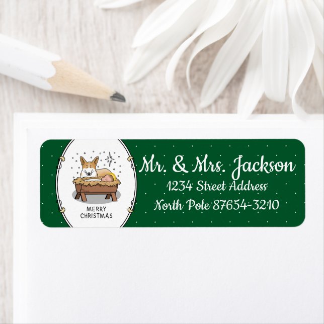 Christmas Nativity Pembroke Welsh Corgi (red1) Fun (Insitu)