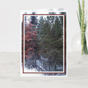 Christmas, New Year, Holiday - Blank Card