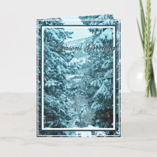 Christmas, New Year, Holiday - Snow Covered Trees