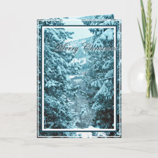 Christmas, New Year, Holiday - Snow Covered Trees