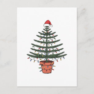 Christmas Norfolk Island Pine Potted Araucaria Postcard