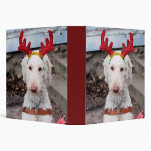 Christmas Ollie Binder