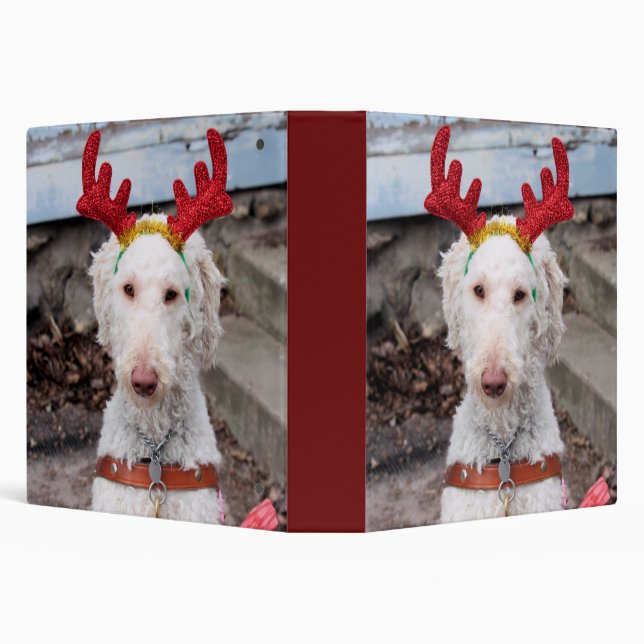 Christmas Ollie Binder (Background)