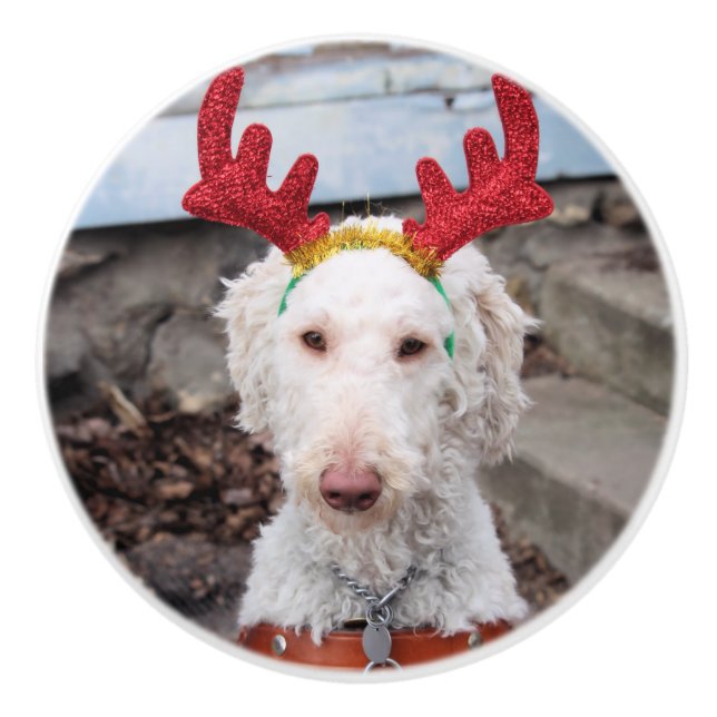 Christmas Ollie     Ceramic Knob (Front)