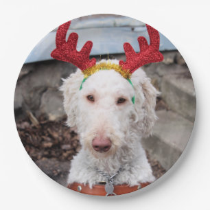 Christmas Ollie Paper Plate