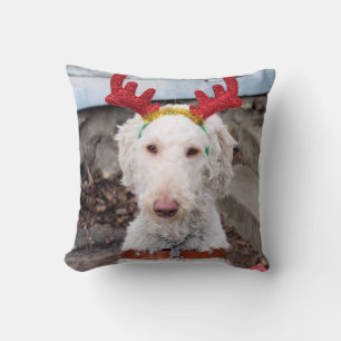 Christmas Ollie Throw Pillow
