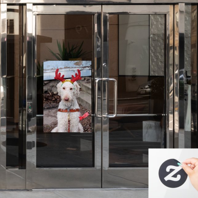 Christmas Ollie Window Cling (Office Door)