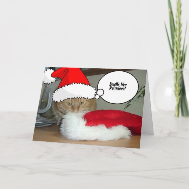 Christmas Orange Tabby Cat Holiday Card (Front)