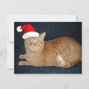 Christmas Orange Tabby Cat Holiday Card