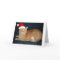 Christmas Orange Tabby Cat