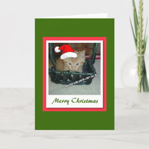 Christmas Orange Tabby Kitten Holiday Card
