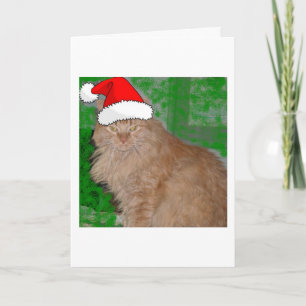 Christmas Orange Tabby Kitty Cat Holiday Card