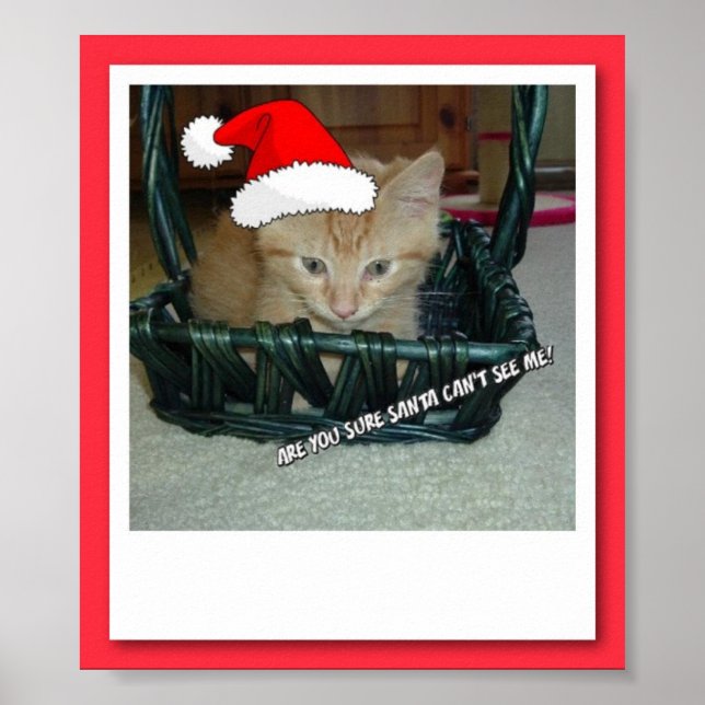 Christmas  Orange Tabby Kitty Cat Poster (Front)