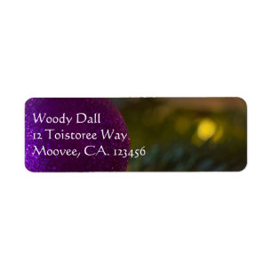 Christmas Ornament 9