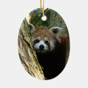 Christmas ornament - red panda