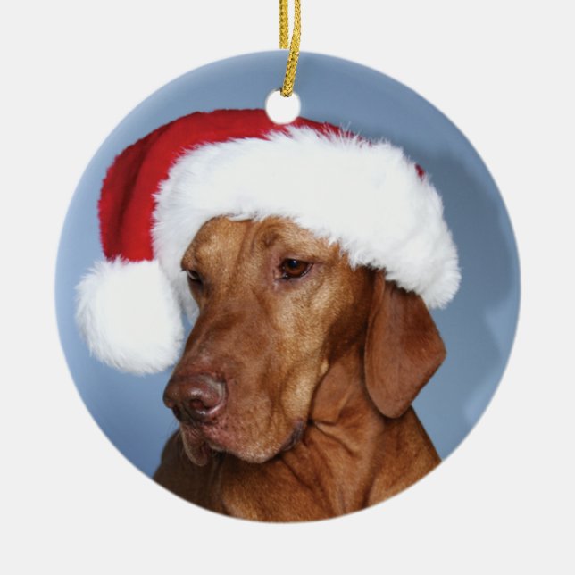 Christmas Ornament (Rogan) (Front)