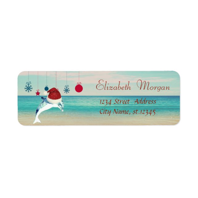 Christmas Ornaments,Beach ,Dolphin With Santa Hat (Front)