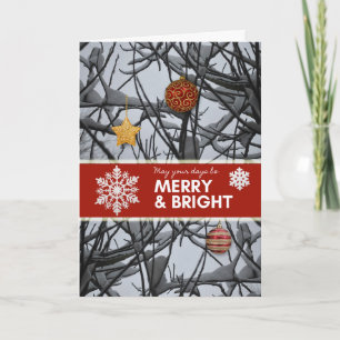 Christmas Ornaments on Snowy Branches Holiday Card