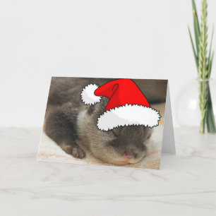 Christmas Otter Holiday Card